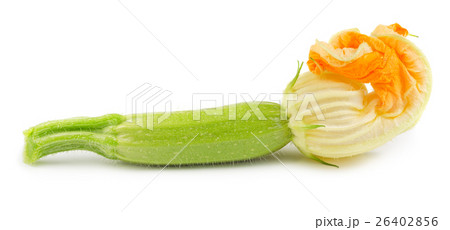 Baby courgette 26402856