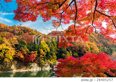長瀞 秋の紅葉 長瀞 秋の紅葉 26405257
