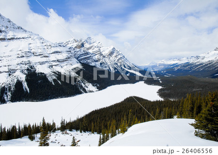 冬のカナディアン・ロッキー　ペイトー湖 26406556