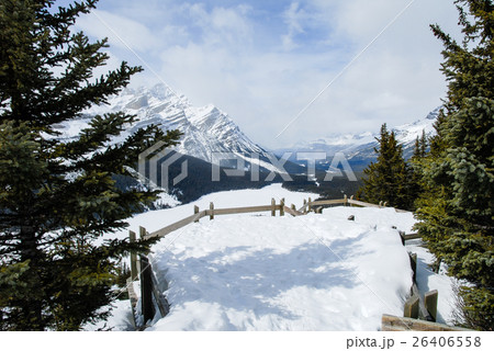 冬のカナディアン・ロッキー 雪に埋もれたペイトー湖の展望台 冬のカナディアン・ロッキー 雪に埋もれたペイトー湖の展望台 26406558