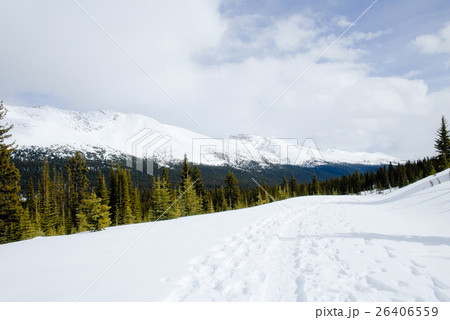 冬のカナディアン・ロッキー　ペイトー湖へのトレイル 26406559