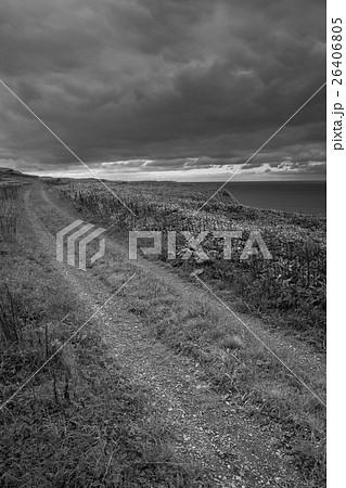 Wild Journey (46) Wild Journey (46) 26406805