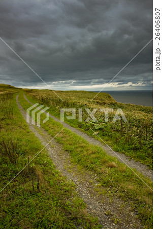 Wild Journey (48) 26406807