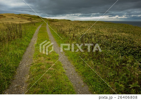 Wild Journey (49) 26406808