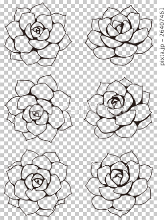 Succulent plants 26407461