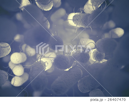 Enterobacteriaceae Bacteria Family 26407470