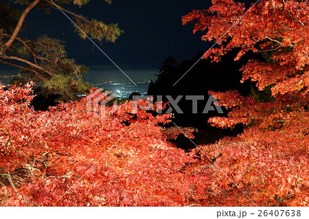 大山寺の紅葉 26407638