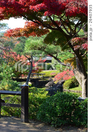 秋の白鳥庭園 秋の白鳥庭園 26407935