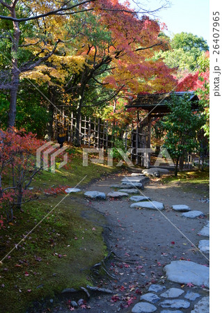 秋の白鳥庭園 26407965