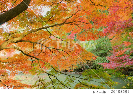 浄瑠璃寺・Ｈ２８年秋（ＮＯ５） 26408595