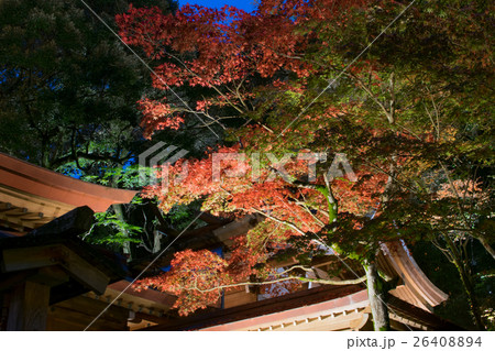 竈門神社の紅葉の写真素材