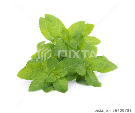 Peppermint on white background 26409783