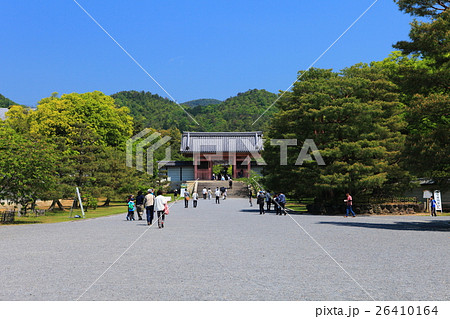 新緑の仁和寺　中門 26410164