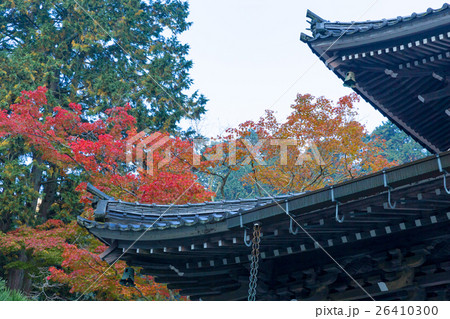 秋の佛通寺(佛通寺は広島県三原市にある紅葉の名所です) 秋の佛通寺(佛通寺は広島県三原市にある紅葉の名所です) 26410300