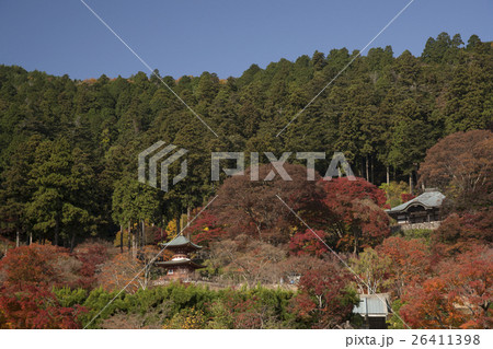 勝尾寺　秋景色 26411398