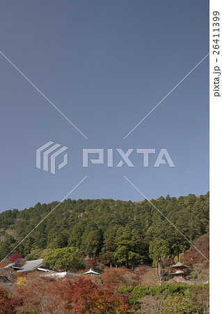 勝尾寺　秋景色 26411399