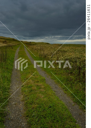 Wild Journey (54) Wild Journey (54) 26411631