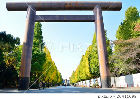 靖国神社 大鳥居とイチョウ並木の写真素材