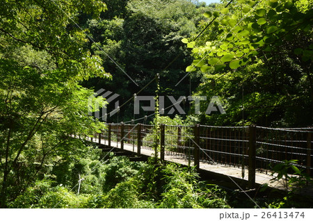 八王子市別所蓮生寺公園 八王子市別所蓮生寺公園 26413474