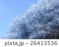 樹氷と青空 26413536