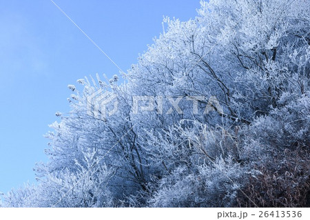 樹氷と青空 26413536
