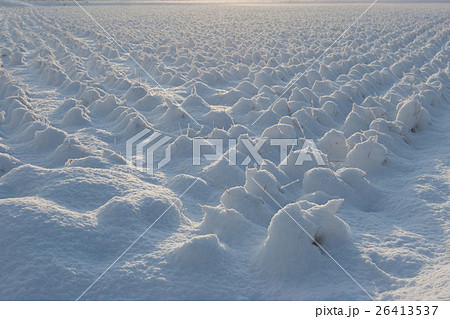 雪景色１ 26413537