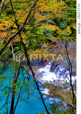 ユーシンブルー 26413710