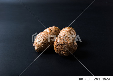 里芋 里芋 26414628