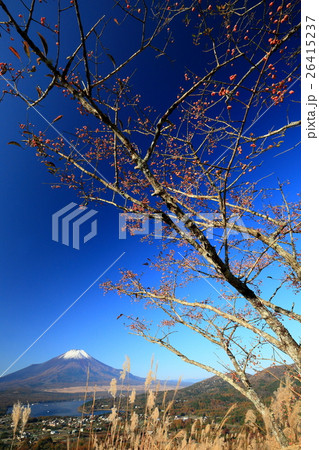 高指山から見る富士山と山中湖 26415237