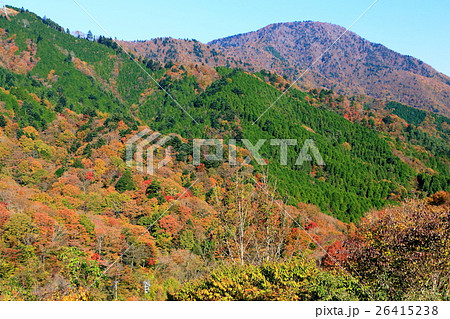 道志・山伏峠から見る紅葉の御正体山 道志・山伏峠から見る紅葉の御正体山 26415238