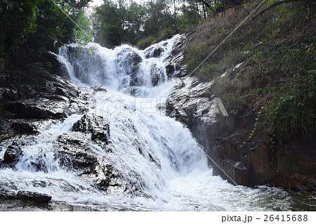 datanla waterfall in the forest in dalat, vietnam 26415688