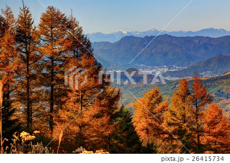 石割山のカラマツの黄葉と白峰三山遠望 石割山のカラマツの黄葉と白峰三山遠望 26415734