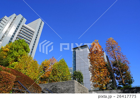 11月　都市風景2034さいたま新都心・紅葉黄葉 26417775