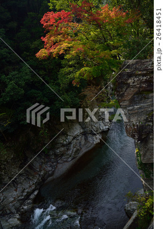 紅葉始まる渓谷(徳島県木屋平穴吹川) 紅葉始まる渓谷(徳島県木屋平穴吹川) 26418451