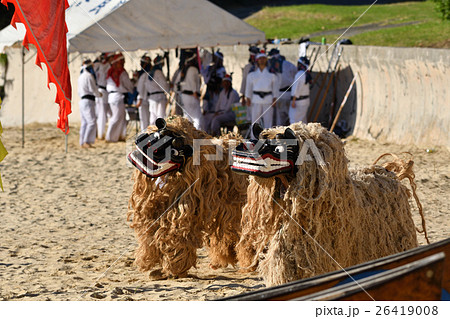 西表島 祖納の節祭 獅子 獅子舞 西表島 祖納の節祭 獅子 獅子舞 26419008