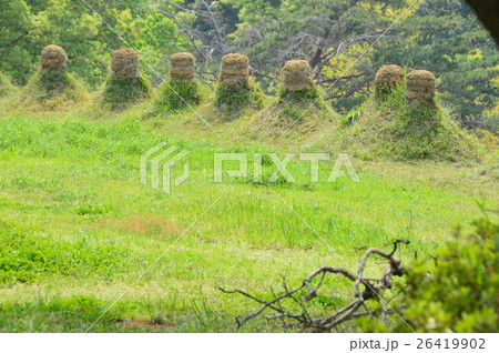 猪俣百八燈(埼玉県児玉郡美里町猪俣) 猪俣百八燈(埼玉県児玉郡美里町猪俣) 26419902