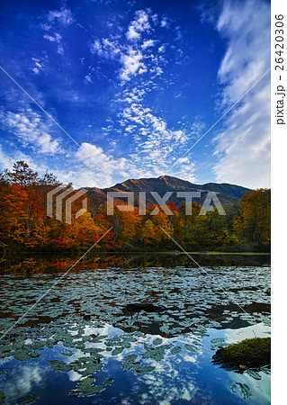 紅葉の刈込池 26420306