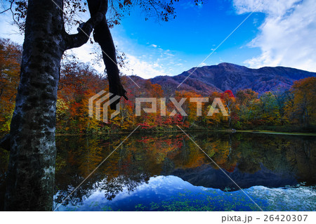 紅葉の刈込池 26420307