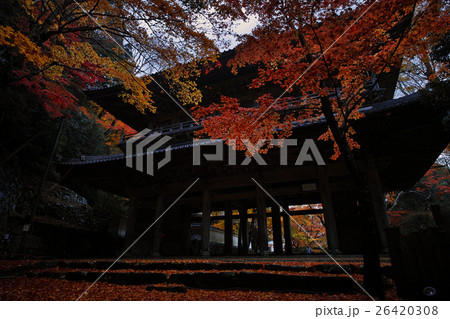 永源寺の紅葉 26420308