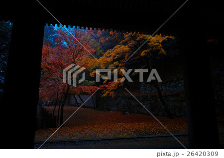 永源寺の紅葉 26420309