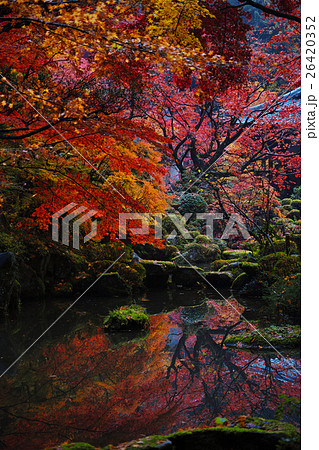 紅葉の金剛輪寺 26420352