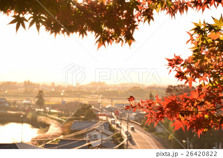 胡宮神社展望 26420822