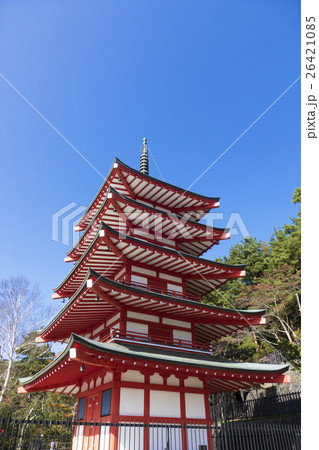 新倉富士浅間神社 青空 秋 紅葉 五重塔 新倉富士浅間神社 青空 秋 紅葉 五重塔 26421085
