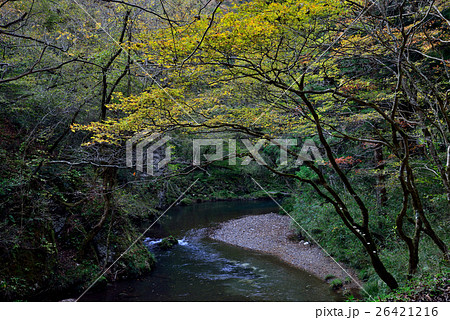 広島県帝釈峡　（広島県庄原市帝釈峡上帝釈） 26421216