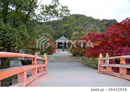 阿弥陀堂の秋～2016 26422658