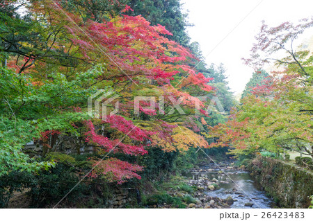 秋の佛通寺(佛通寺は広島県三原市にある紅葉の名所です) 秋の佛通寺(佛通寺は広島県三原市にある紅葉の名所です) 26423483