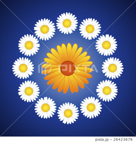 Daisies Aster Floral Wreath 26423676