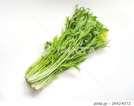 水菜 水菜 26424072