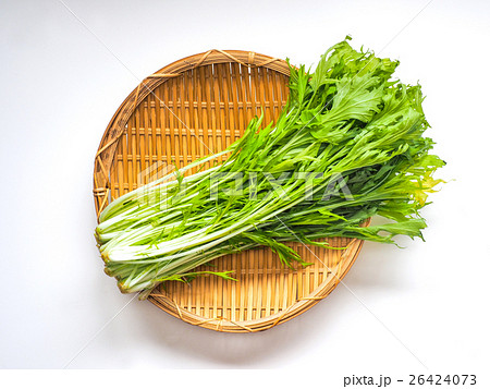 水菜 水菜 26424073