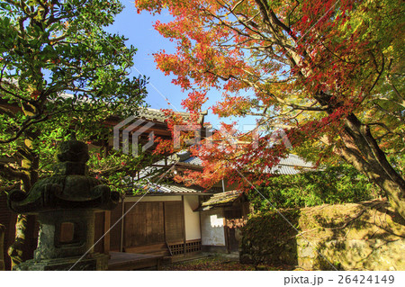 法然院の紅葉 26424149